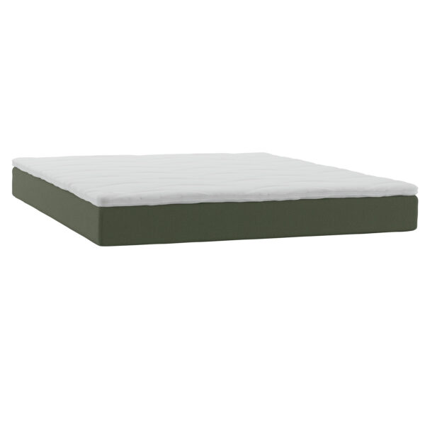 Zonic Plus Madras 160x210 Moment Arctic Green - Trykaflastende madrasser SVANE Denne madras gør