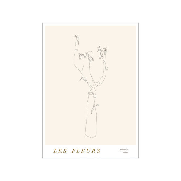 Poster & Frame - Les Fleurs plakat